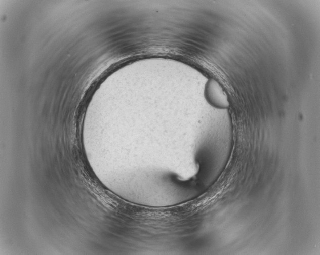 X0000087391023200705111755