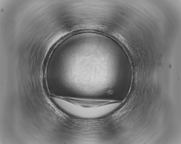 X0000087391024200705111755