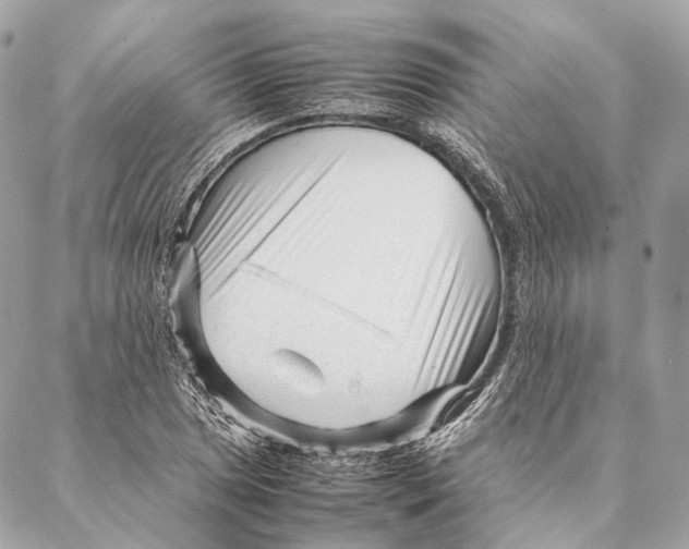 X0000087391025200705111755