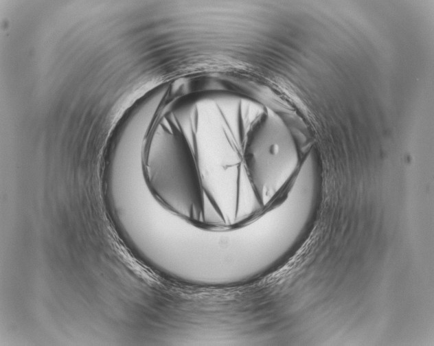 X0000087391026200705111755