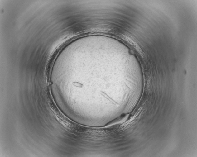 X0000087391027200705111755