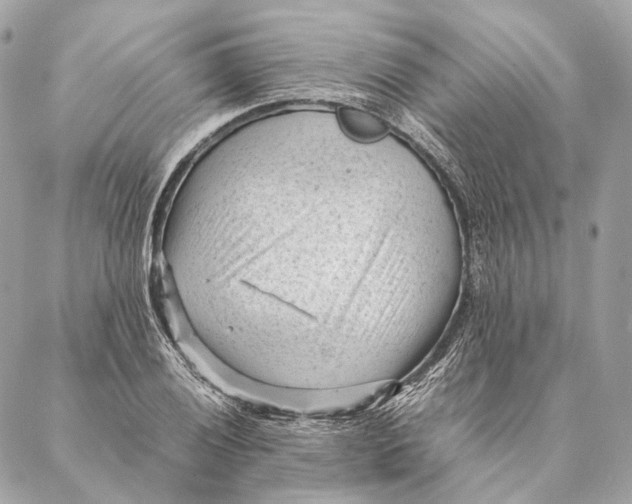 X0000087391028200705111755