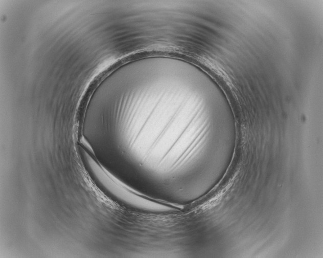 X0000087391029200705111755