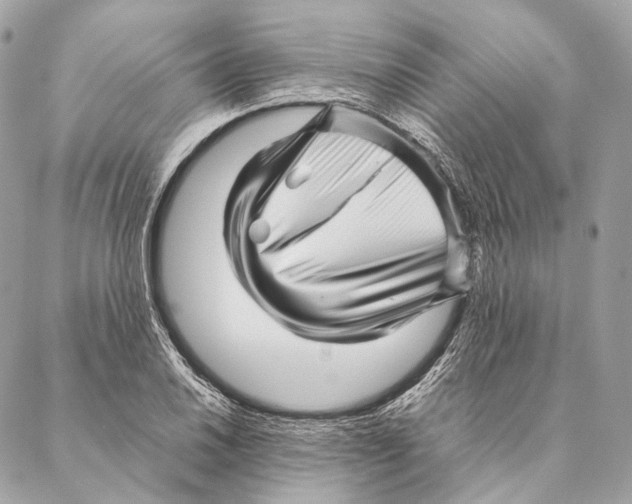 X0000087391030200705111755