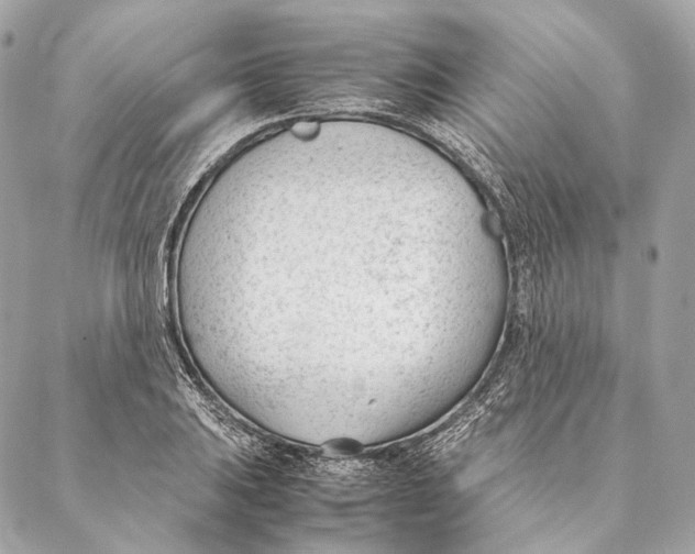 X0000087391031200705111755