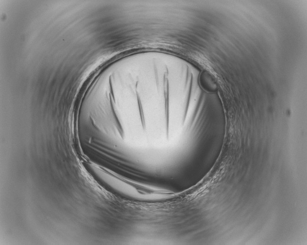 X0000087391032200705111755