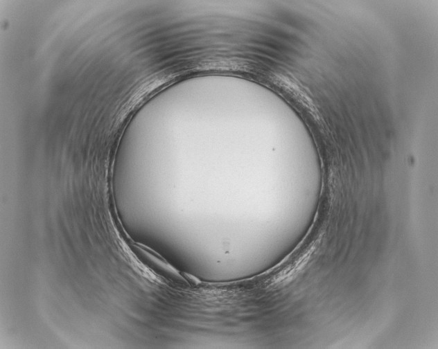 X0000087391033200705111755