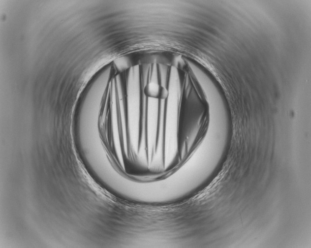 X0000087391034200705111755