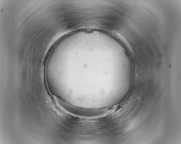 X0000087391035200705111755