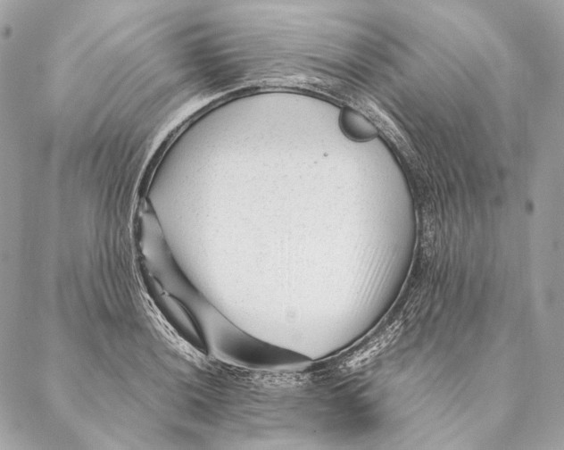 X0000087391036200705111755