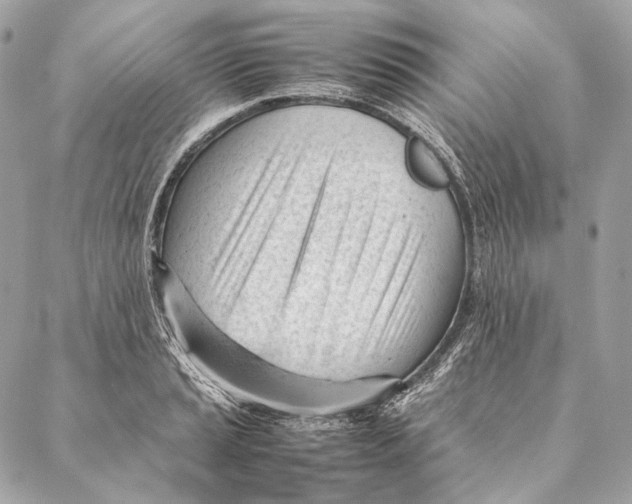 X0000087391037200705111755