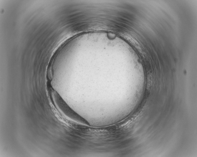 X0000087391039200705111755