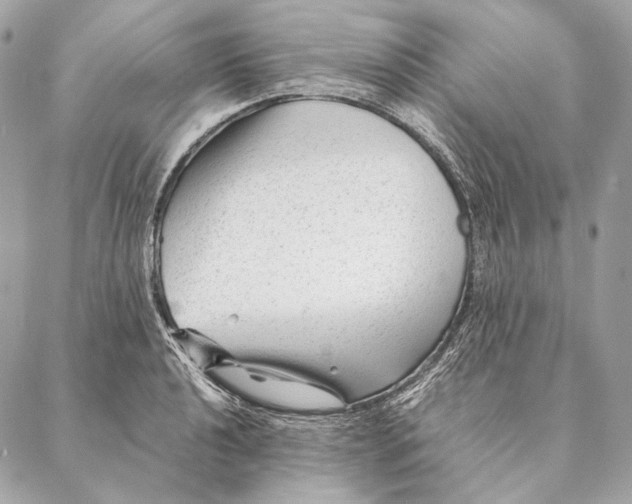 X0000087391040200705111755