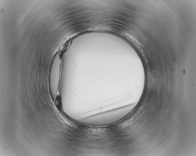 X0000087391041200705111755