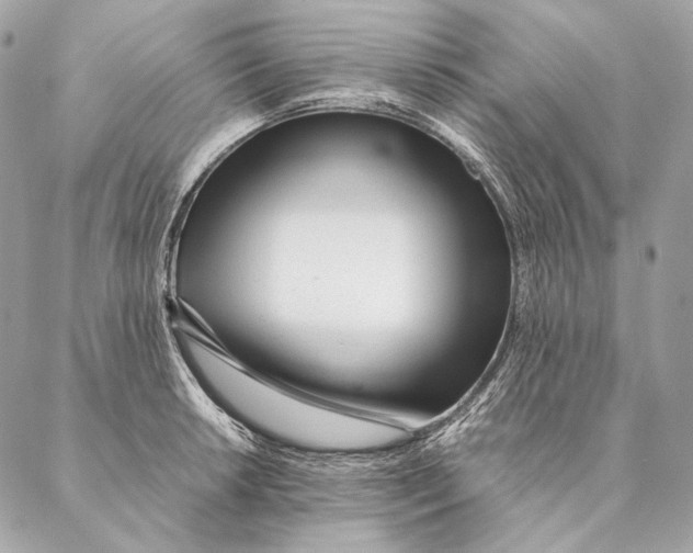 X0000087391042200705111755