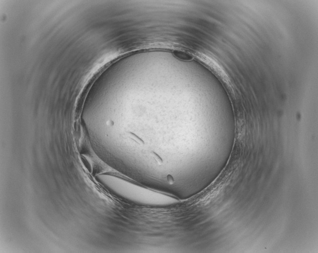 X0000087391043200705111755