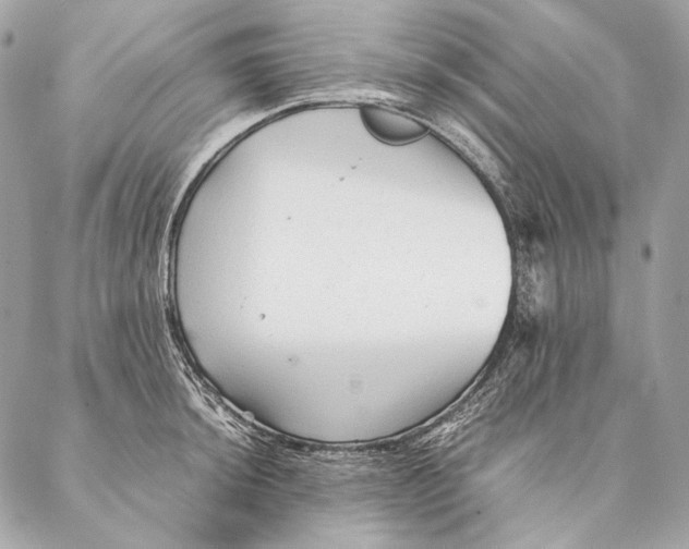 X0000087391044200705111755