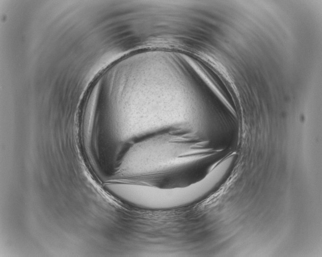 X0000087391045200705111756