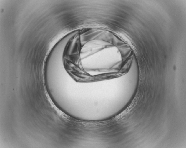 X0000087391046200705111756