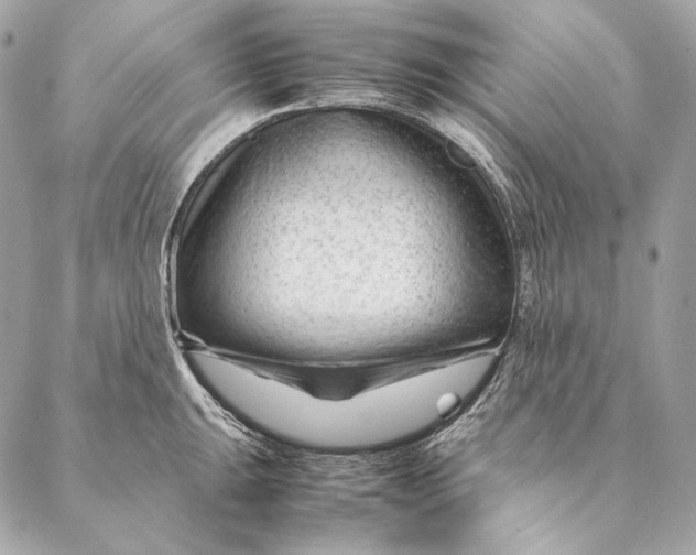 X0000087391047200705111756