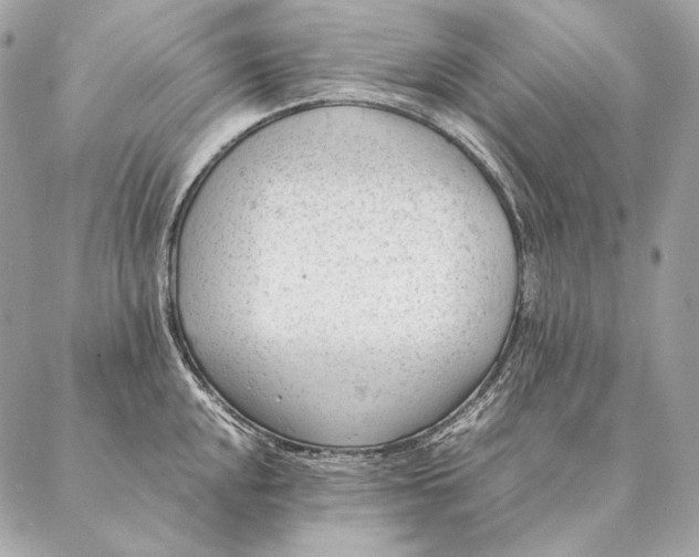 X0000087391048200705111756