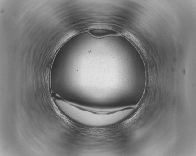 X0000087391049200705111756