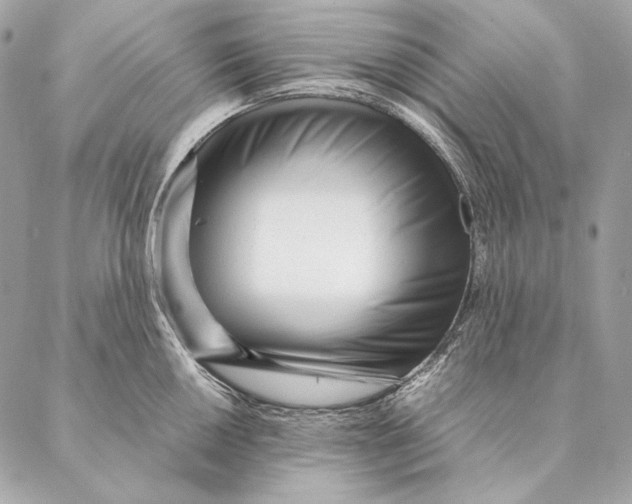 X0000087391050200705111756