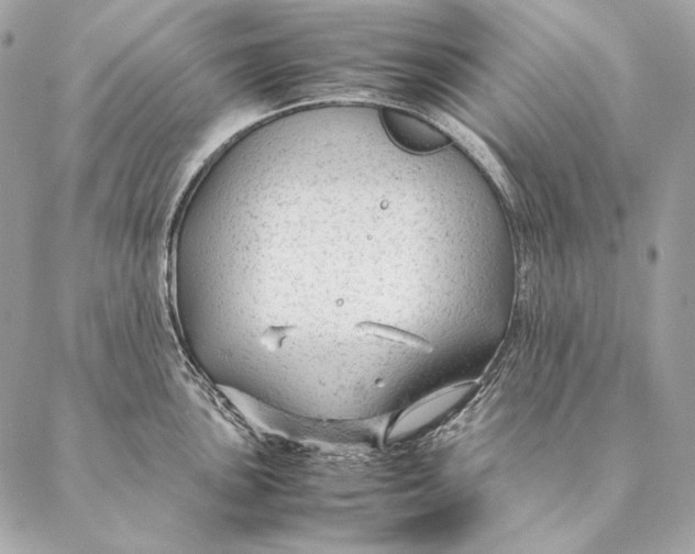 X0000087391051200705111756