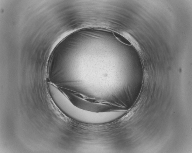 X0000087391052200705111756