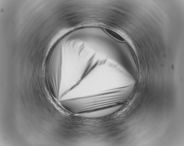 X0000087391053200705111756