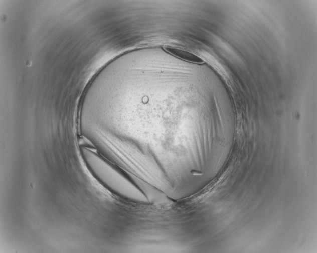 X0000087391055200705111756