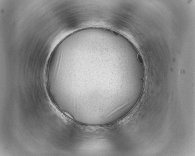 X0000087391056200705111756