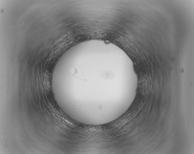 X0000087391058200705111755