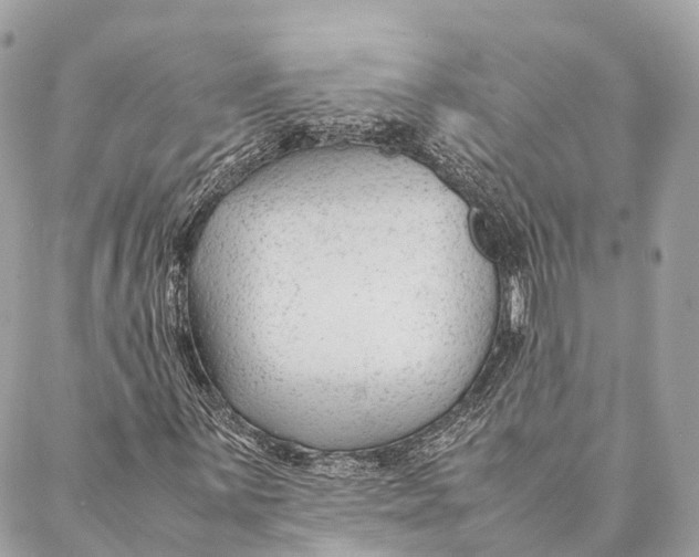 X0000087391059200705111755