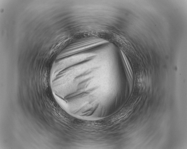 X0000087391060200705111755