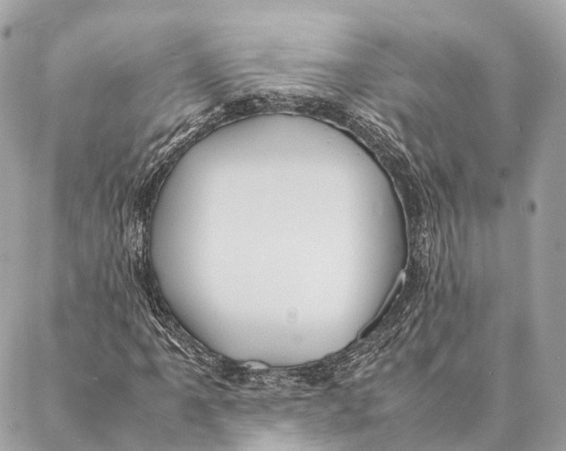 X0000087391061200705111755