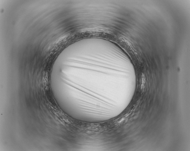 X0000087391062200705111755