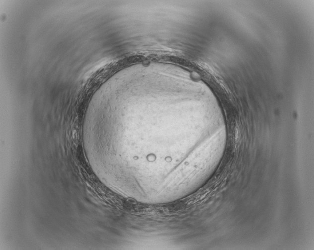 X0000087391063200705111755