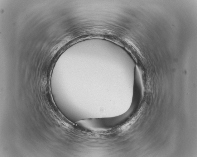 X0000087391065200705111755