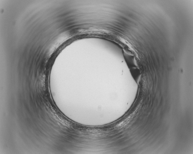 X0000087391066200705111755