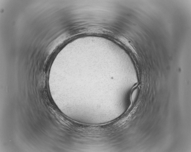 X0000087391067200705111755