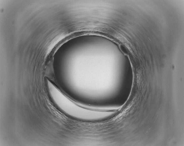 X0000087391069200705111755