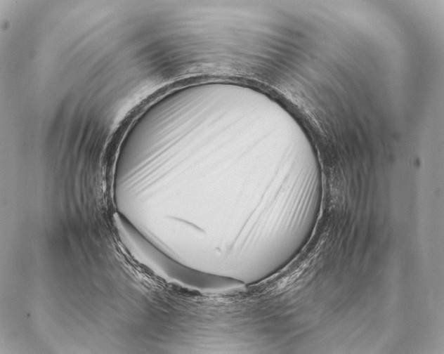 X0000087391070200705111755