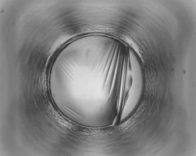 X0000087391072200705111755