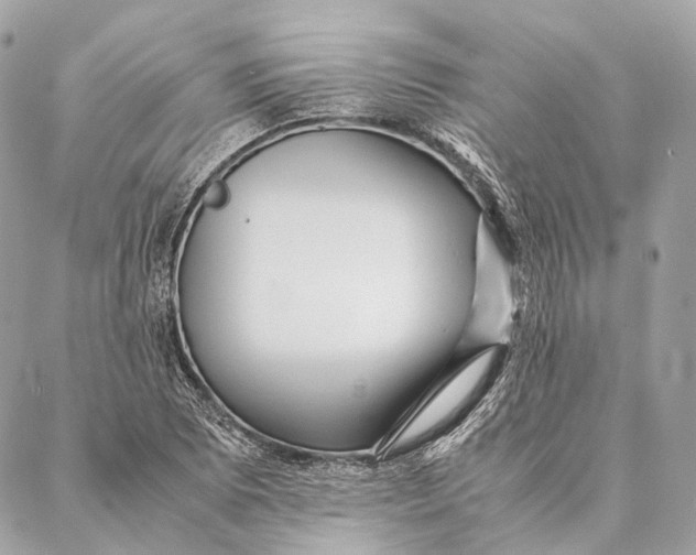 X0000087391073200705111755