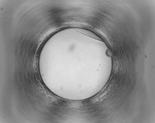 X0000087391074200705111755