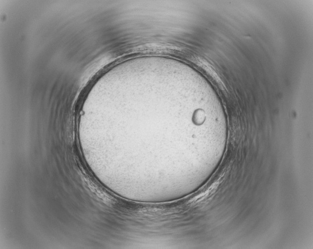 X0000087391075200705111755