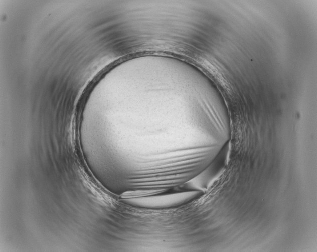 X0000087391076200705111755