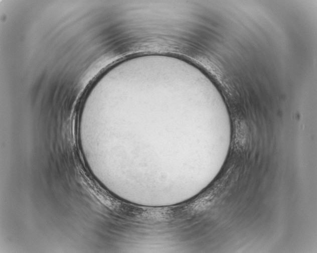 X0000087391078200705111755