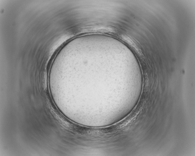 X0000087391079200705111755